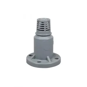 CPVC-FOOT-VALVE-with-check-valve-300x300-1