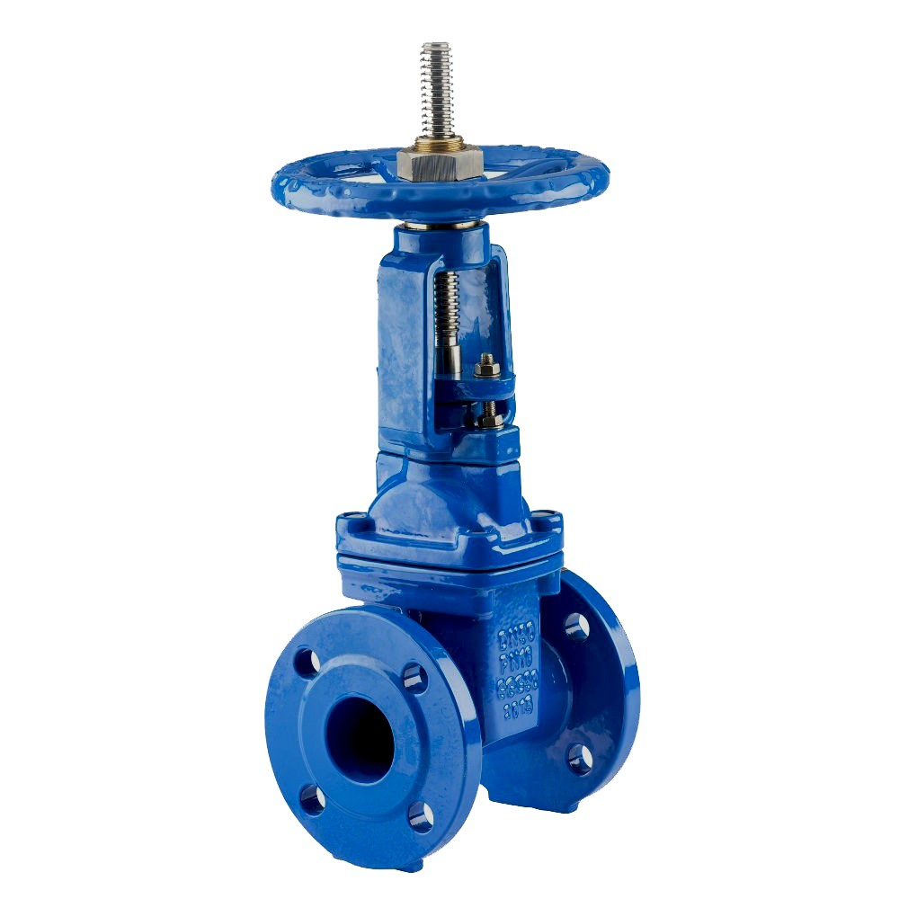 flanged gate valve with epoxy coating (2)