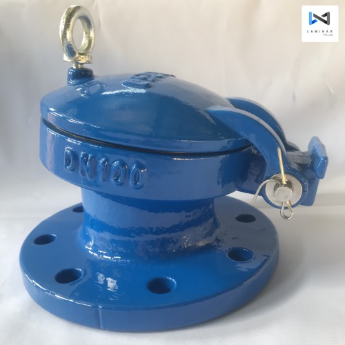 Laminar DI Flap Valve (Custom)
