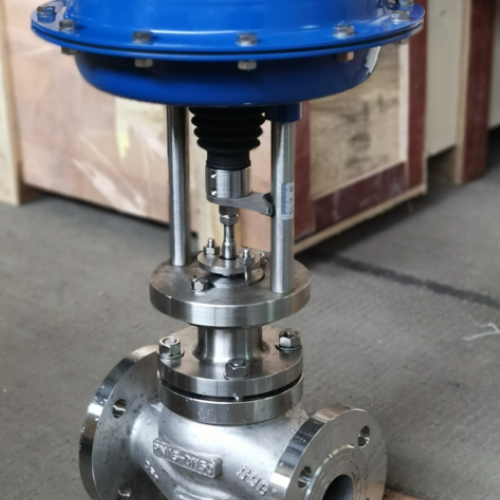 Stainless steel globe valve with pneumatic actuator (Custom)