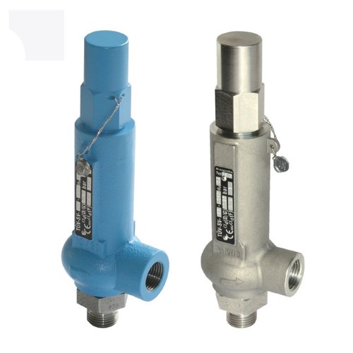safety valve (1) (Custom)