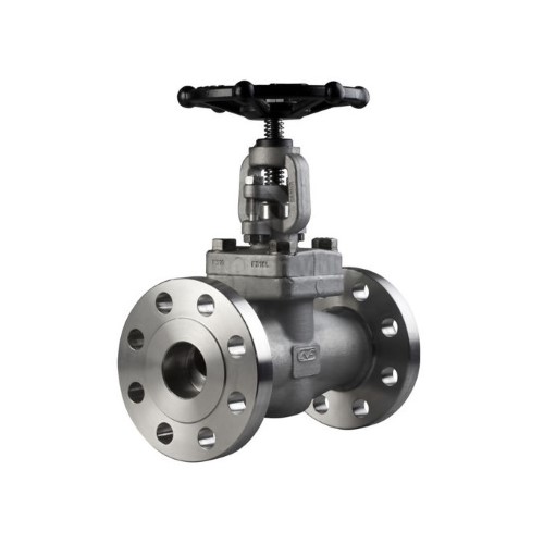 stainless steel gate valve 锻钢闸阀 (1) (Custom)